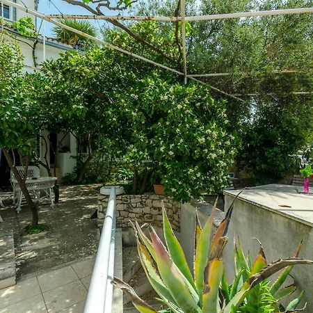 טרוגיר Apartment Dory מראה חיצוני תמונה